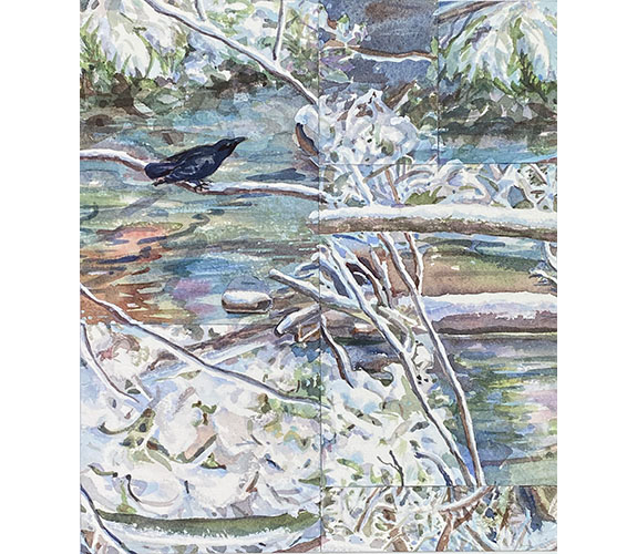 "Woodland Creek Winter 1" - Amy Fisher